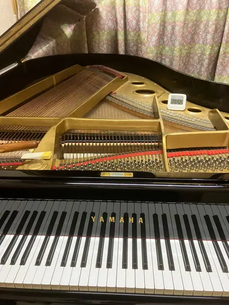 石田音楽教室 グランドピアノ貸し練習室（グランドピアノ）